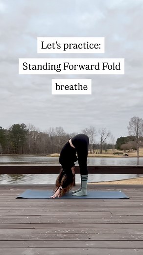 Let’s practice Standing Forward Fold! Also known as Uttanasana, this is a simple way to: ⭐️Stretch the hamstrings ⭐️Lengthen the back ⭐️Calm the nervous system Follow these step-by-step cues to set up your Standing Forward Fold, but keep in mind that these are general suggestions and not rules. ✅Focus more on back length than a hamstring stretch ✅Feel free to place your hands on blocks ✅Let tension from the head, neck, and shoulders spill toward the floor Let’s practice together! Follow along he