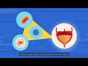 How to Collect a Midstream Urine Sample During Pregnancy | Step-by-Step Guide for Accurate Results