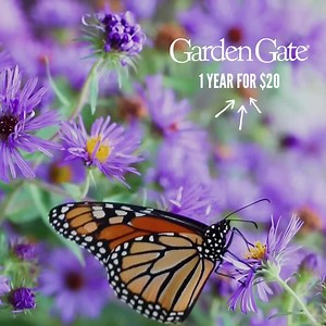 Our issues are packed with plant know-how, reader tips, design advice, clever projects, step-by-step garden plans, & garden tours. | Garden Gate Magazine