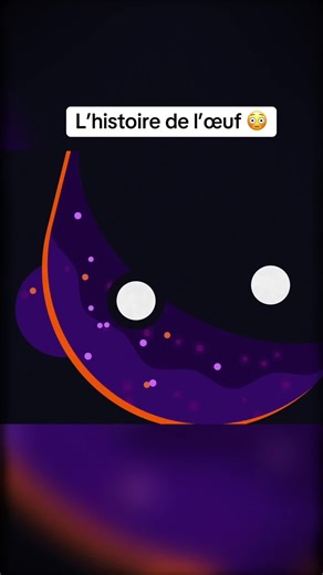 Kurzgesagt - Tout Simplement sur TikTok