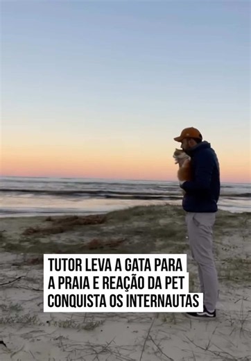 😻 FOI AMOR À PRIMEIRA VISTA 🏖 Renan mora no #RioGrandedoSul e optou por levar a #gatinha de estimação para a #praia. Em novo vídeo publicado nas redes, o rapaz mostrou a reação da #pet ao estar no litoral pela primeira vez e deu pra ver que ela adorou conhecer o espaço. A gatinha sequer ficou tímida. Desbravou todos os cantos com muita animação e aprovou a viagem. Tem como resistir a uma prainha? #Metrópoles 🤳 @renan_requelme | @myhoodbr