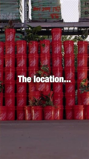 a secret concert in a Home Depot to kick off Spring... #countrymusic #brothersosborne #guitar