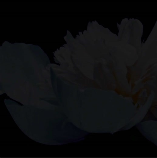 Exploring Derry with Marge Truman