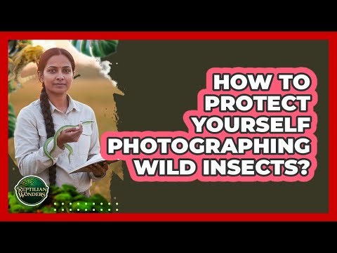 How To Protect Yourself Photographing Wild Insects?