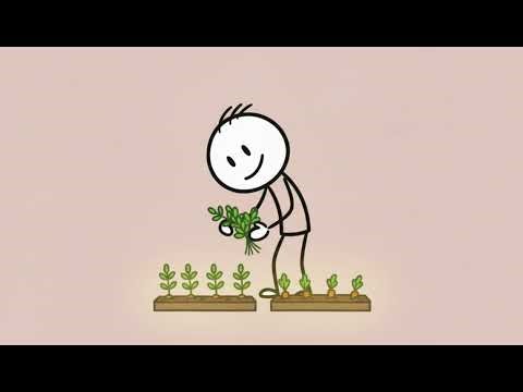 Stickman Animation Portfolio | Ghani Animations