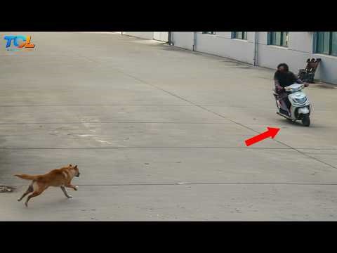 50 Incredible Moments Caught On CCTV Camera | Best of 2026 #8