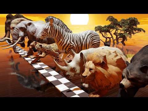 Epic Animal Race: Lion vs Elephant vs Rhino vs Mammoth Grizzly Bear vs Jaguar, Tiger, Zebra and More