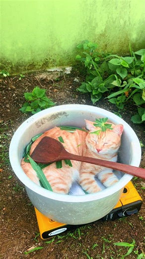 Cara buat tempoyak ayam😩 | Meat Cooking Tutorial