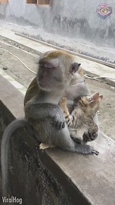 1.4M views · 76K reactions | Mom isn’t just the one who gives birth; she’s the one who nurtures and raises ❤️ | Bright Side Fun | Facebook