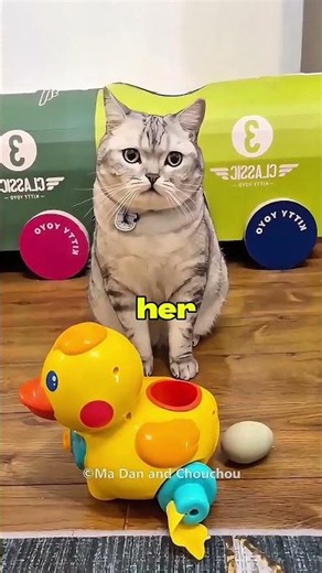 Cat Adopts A Baby Duckling! 🥺🦆