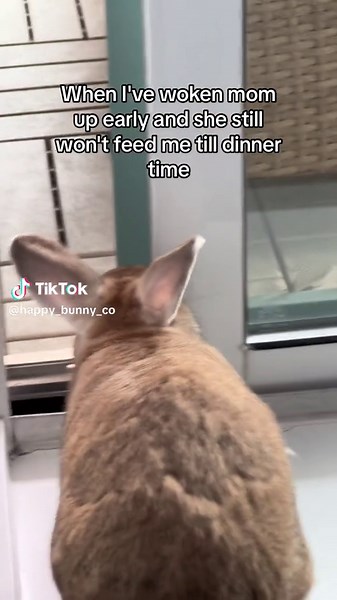 Taming Bunnies in Minecraft: Tips and Tricks