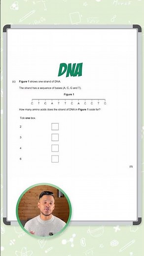 GCSE Biology: Paper 2 Exam Question | DNA