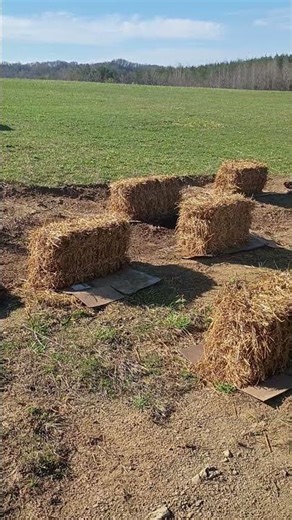 Straw Bale Kitchen Garden