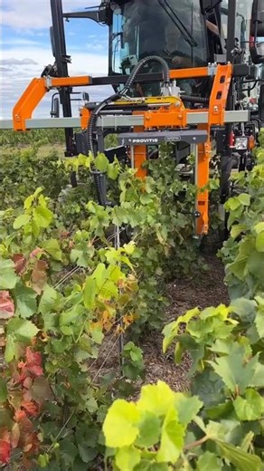 Pre-Pruner MP122 With Automatic Opening System || Pruning Season 2025 in France || #pruning #shorts