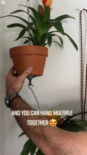 DIY Hanging Pots for Books | Innovative SkyPots Invention