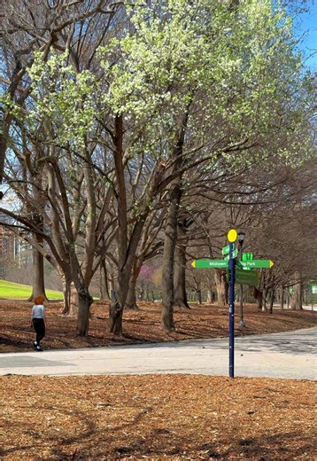 Experience Spring at The Juniper in Midtown Atlanta