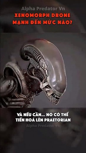 Xenomorph Drone: Mạnh Đến Mức Nào? Sự Thật Khiến Bạn Sốc! #phimhay #scifi