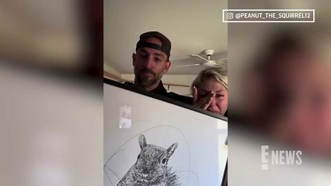 Peanut the Squirrel Euthanized by New York Authorities Per Owner