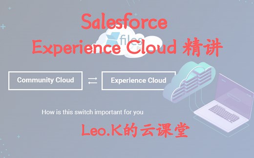 Salesforce Experience Cloud(体验云)详解（aka Community Cloud）