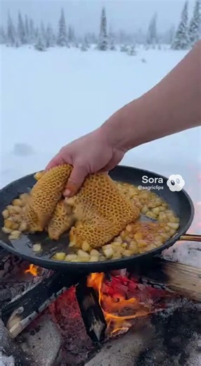 Cooking Tripe in the Arctic ❄️ Would You Eat This?