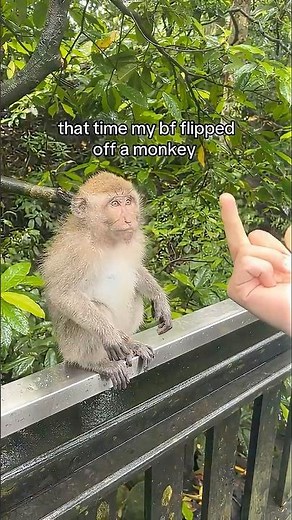 Monkey was NOT Happy.. 😭