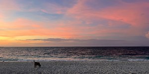 April 2025 - Malapascua,