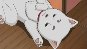 Gintama | E111 - “Definitely Do Not Let Your Girlfriend See The Things You Use For Cross-dressing" / "There's Almost a 100% Chance You’ll Forget Your Umbrella and Hate Yourself For It”