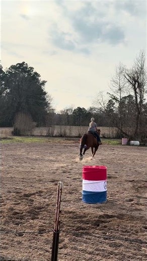 Sarge-barrel pattern