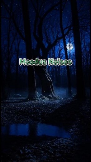 🔬Moodus Noises | The Forest That Rumbles Underground