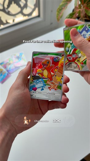 First Partner Collection opening