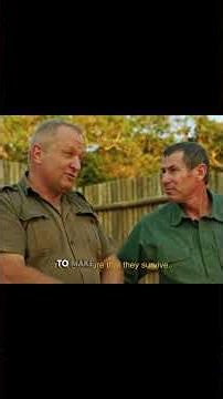 part-10 Rescuing Rhinos from Poachers in Kruger Park | Carter's WAR#wildlife