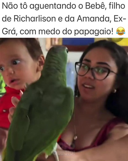 Filho de Richarlison reage a papagaio: momento fofo e engraçado