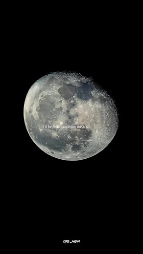 LET'S GOO SUPER BLUEMOON 🌕😍 #gcamindonesia #moon #gcam #fyp #apexellens #zoom #astrophotography #bulan #superbluemoon #superbluemoon2023