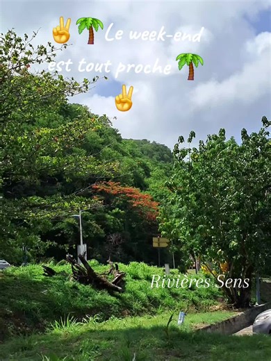 bleu bonheur sur TikTok