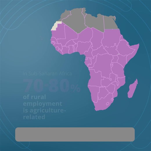 From farm to market, agriculture is Sub-Saharan Africa’s untapped jobs engine. Explore the data and discover how investing in a agriculture can drive growth and job creation: http://wrld.bg/EGP150XVGwB | World Bank Africa