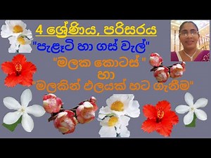 malaka kotas/Grade 4/ parisaraya/4 ශ්‍රේණිය/පරිසරය/මලක කොටස් සහ මලකින් ඵලයක් හට ගැනීම.
