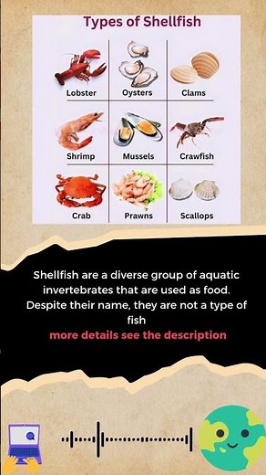 Types of Shellfish