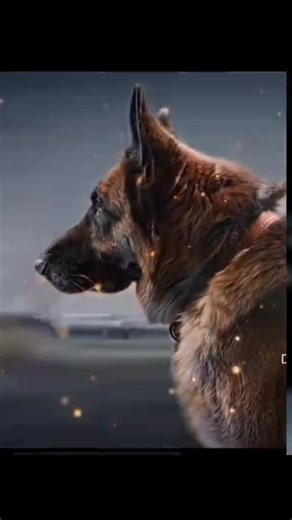 Heartfelt Dog Sad Story That Will Touch Your Soul