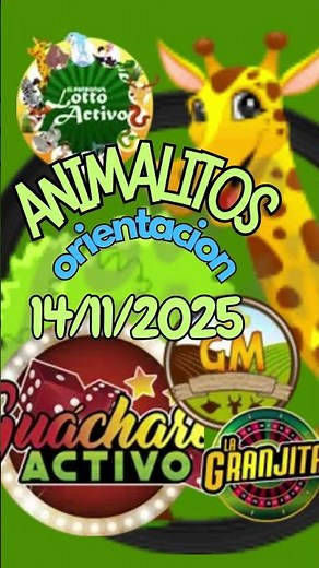 14/11/2025 información loto activo, datos animalitos, el rey de los animalitos