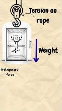“Net Force in an Elevator (Simple Animation)”