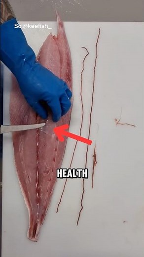 How to Safely Remove Parasites from Fish😱 (‪@keefish‬) #animals #fish #shorts