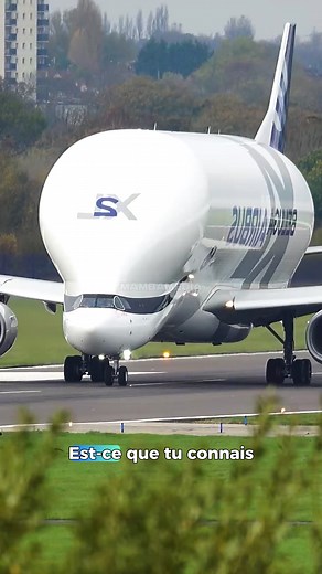 Le Beluga : L'avion cargo exceptionnel d'Airbus