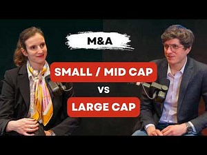 M&A : Small/Mid Cap vs Large Cap – Que choisir ?