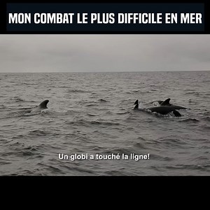 183K views · 4.3K reactions | Cyril est sur la côte Est du Canada, à la recherche d'un des poissons les plus difficiles à prendre en mer : le thon rouge. Son but est d'en capturer un et de le taguer, pour permettre à des scientifiques d'en apprendre plus sur les déplacements de ce poisson. Même si ce n'est pas dans ses habitudes, il a dû sortir le matériel lourd pour s'attaquer à cet incroyable combattant, probablement le plus puissant des océans. | Cyril Chauquet | Facebook