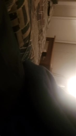 Logo Fever (@logo.fever)’s videos with original sound - Logo Fever