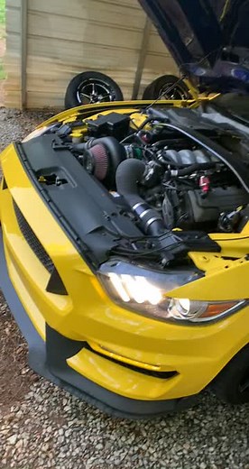 🥰#fyp #MyBrawlSuper #vortechsupercharger #MakeABunchHappen