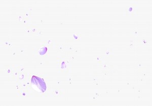 View 13 Sakura Petals Falling Gif Transparent