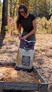 Morgan Sweat on Reels