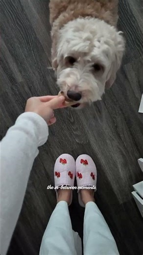 morning routine with my dog #wfh #morningroutine