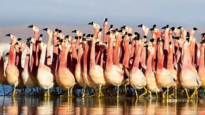 Planet Earth as you've never seen it before